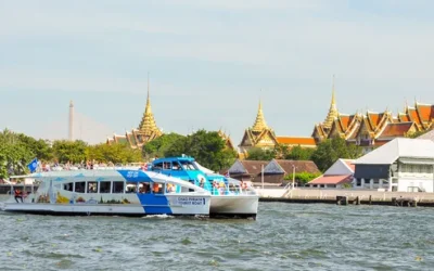 mb9os5scvmtlozuq8nbc