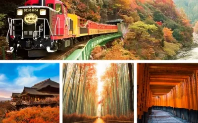 mbo5mm53ydzbs43x3mw9