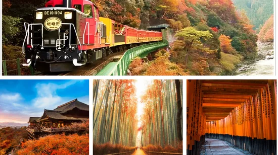 Art Jamming with Newton’s Law of Motion by Motion Art Space