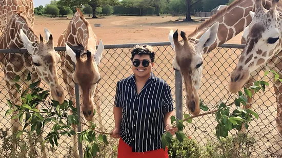 Old Town Audio Trip in Munich 12 Old Town Audio Trip in Munich