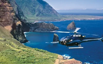 mtaw9iz1scwy6b50vkuj