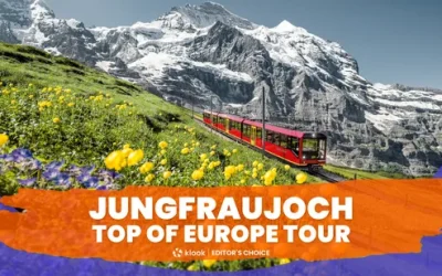 nd8kqzonh74bbobgozp3