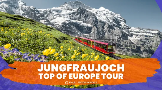 Sumo Practice in Tokyo