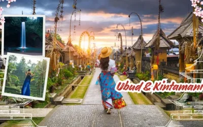 nmrq9rqgwh9wfk33pkc7