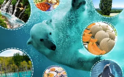 obilvbqofehtkftlmypg