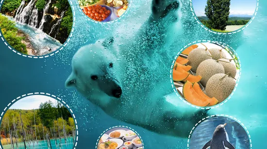 Oasis Spa Experience at Sukhumvit 31 in Bangkok