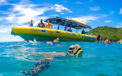 of5dcmotsjr8pnx3h9qs