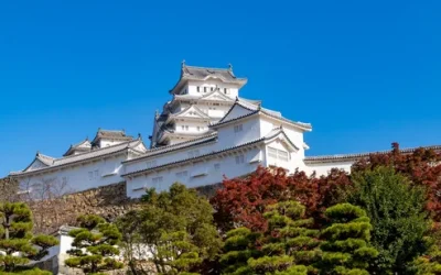 ooznawiisgklz3nizxx5