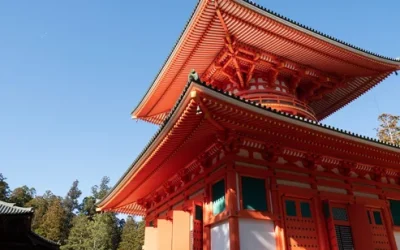 otpj8hqt20biccbciv2w