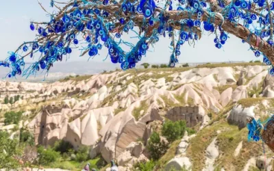 owc8dgdttjom8r7ryp7q