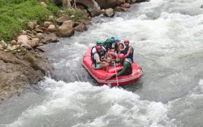 owczyus8rnsdzsmpuwj0