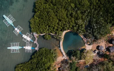 oyxbamejgxsrwvjymqnz