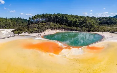 p1rmtsn8od1tvvf4t80p