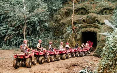 p1wwugi2rlpnylqpdg6x