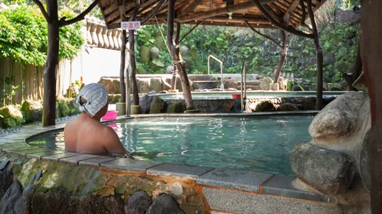 Nadi Therapeutic Mud Pools and Garden Tour in Fiji 8 Nadi Therapeutic Mud Pools and Garden Tour in Fiji