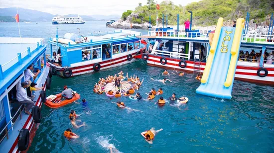 Glow Worm Day Tour from the Gold Coast or Brisbane