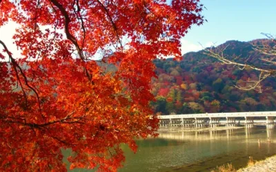 pntu7pxsvbsgchpg63oe