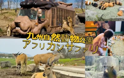 Tokyo City, Private Customized Day Trip with English-speaking Driver qednvxuosbcx0il4oimr