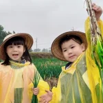 Yilan: Farmer Green Onion Experience Farm - Experience Half-Day Tour