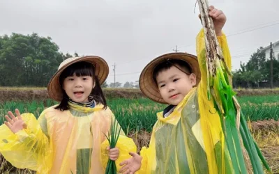 Yilan: Farmer Green Onion Experience Farm - Experience Half-Day Tour