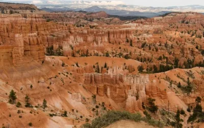 qjmefpxz6nfc2247dcmg