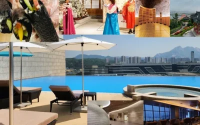 qnocqilfistkuzcq8sbi