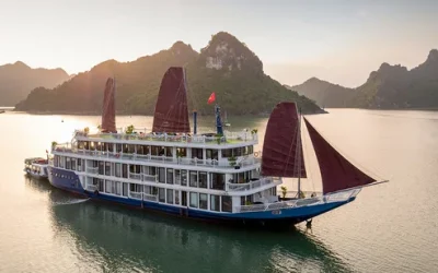 qo6osinekvh66ojfza5v