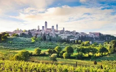 r1h0dbeuzxyffritspg8