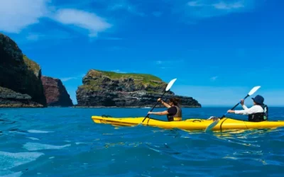 r6cuouyzcut7iob1w49k