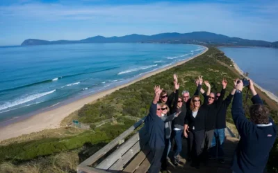 rd6rdstqa4lbmww81teg