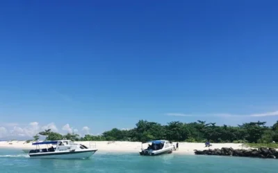 rk40a9pfd8fktzirllzp