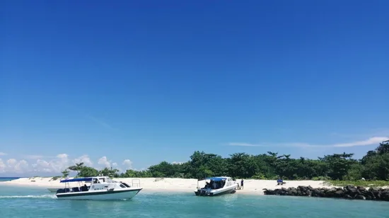 [Route 2] 2D1N Halong Bay by 5 Stars Athena Cruise