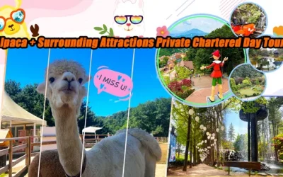 rsx6jwx0hqruumq5gmsp