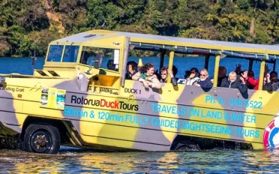 sfvciqkrhb4wz4qpd9mv