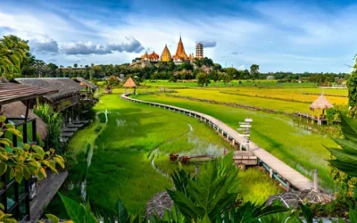 sjkqzyt6jouy0znoawp8