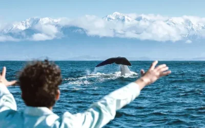 sjxizqzywpno14hfn3iv