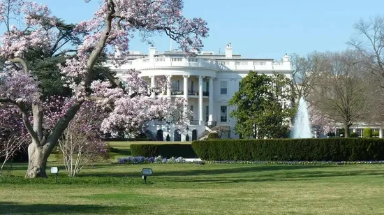 Yilan: Rebirth Chocolate Painted Chocolate DIY Experience