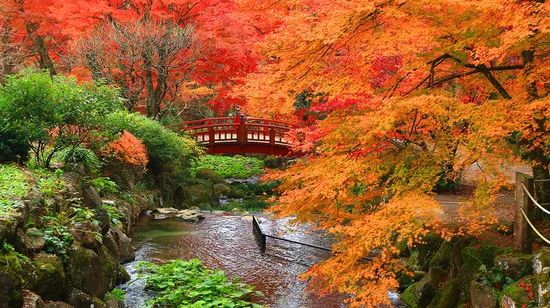 Taipei: A-IDIO Dadaocheng hand-brewed coffee experience 16 Taipei: A-IDIO Dadaocheng hand-brewed coffee experience