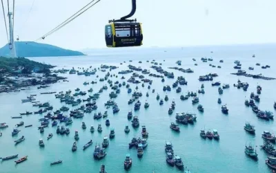 svvcqf8weufhgdihvwt4