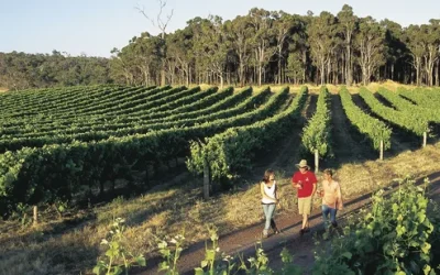 Nami Island & Happy Panorama Field & Morning Calm & Railbike swrfwqndoulcbdzbxpjz