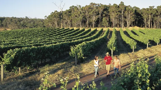 Nami Island & Happy Panorama Field & Morning Calm & Railbike 9 Nami Island & Happy Panorama Field & Morning Calm & Railbike