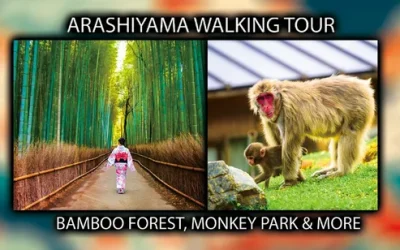 task14blw818jh2wb5vd