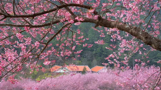 Muyan Spa Massage in Taichung