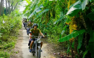 tqgdnp6rlu6fu5i9hdzb