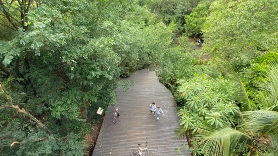 Amazing My Son Sanctuary Delxue Tour