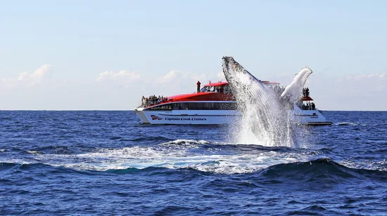 Mont Saint-Michel Chinese Day Tour from Paris
