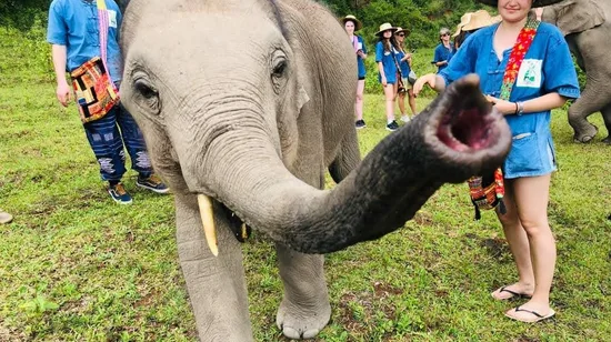 Melbourne River Cruises on the Yarra