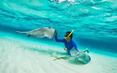 txlnvbiprihrruzfznzh