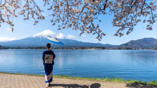 Paris: Local Culture and History on a 2.5h Guided Bike/E-Bike Tour