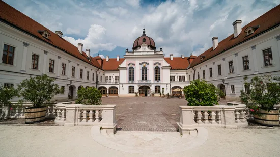 Lake Tekapo Petting Zoo Admission Ticket